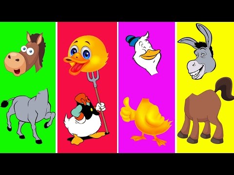 Farm Animals with Wrong Heads Part III | Funny Learn Farm Animals for Children | Baby TV.