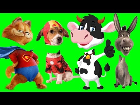 Wrong Heads, Bad Baby ? Cute Farm Animals with Wrong Heads | Funny Animals Video for Kids