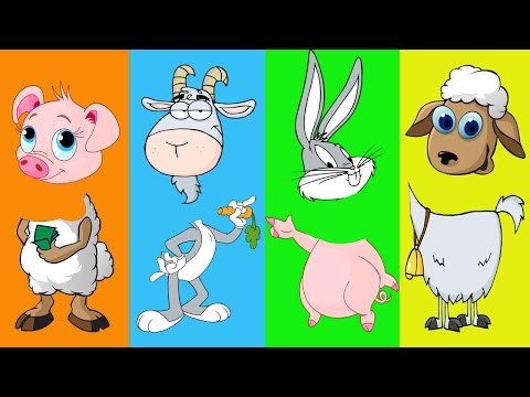 Cute Farm Animals With Wrong heads Part II – Funny Animals Video For Kids – Baby TV