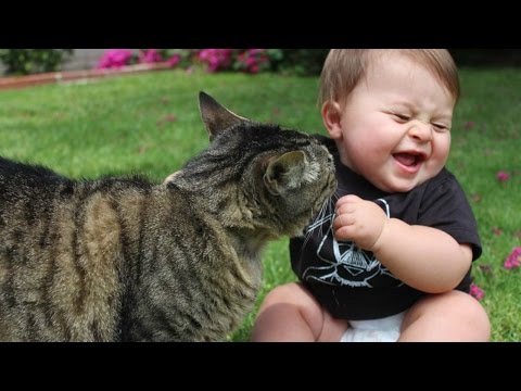 Funny Cats Annoying Babies – Try Not To Laugh – Cute Cat & Baby Compilation