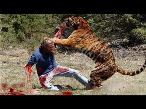 Danger of wild animals attack human