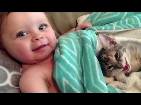 Funny Cat and Baby Videos Compilation (2017)