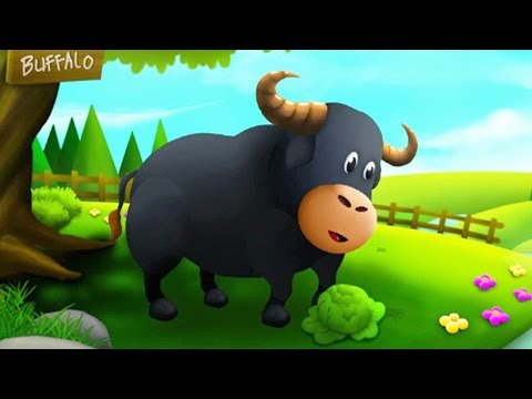 Baby Learn Farm Animals Names & Sounds Feed Animals Funny Cartoon Characters