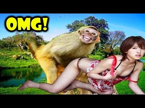 Monkey Meeting Tourist #2 – Most Amazing Wild Animal Funny Videos 2016