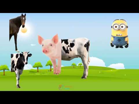 Farm Animals with Wrong Body –  Funny Animals Video for Kids –  Learn Farm Animals names and sounds