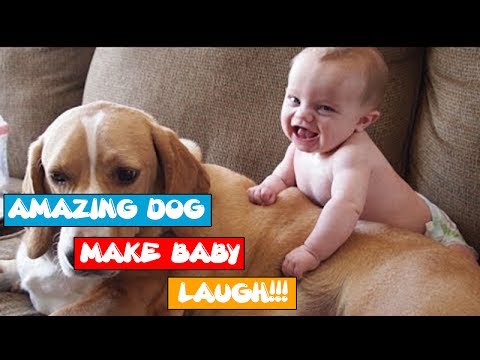 Funny Baby vs Dog Videos 2017 | AMAZING DOG make BABY CUTE FUNNY VIDEO PLAYING LAUGH COMPILATION