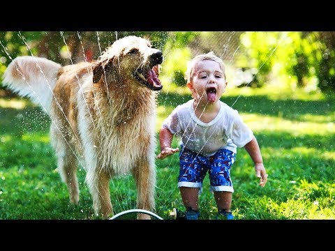 Funny Dogs 🐶  Dogs Playing With Water (FULL) [Funny Pets]