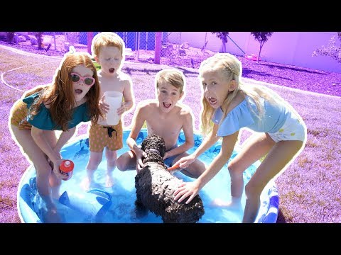 KIDS TRY WASHING A DOG! FUNNY CHALLENGE VIDEO