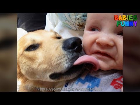 Cute Babies and Dogs playing together – Funny Babies Video 2017