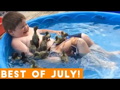 Ultimate Animal Reactions & Bloopers of July  2018 | Funny Pet Videos
