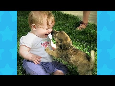 FUNNY DOG AND BABY TICKLING AND LAUGHING ! Dog loves Baby Compilation