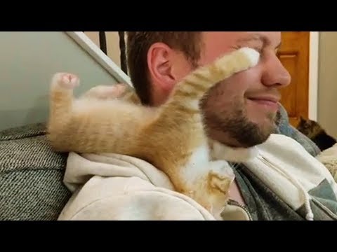 ♥Cute Cats and Dogs Doing Funny Things 2018♥  # 1 – Funny Dog and Cat Videos