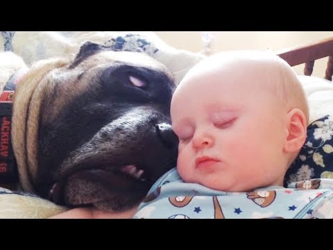 Funny Babies and Dogs are Best Friends – Fun and Fails Baby Video