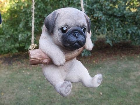 Funny And Cute Pug Dog Video Compilation 2019 – Funny Dogs Videos
