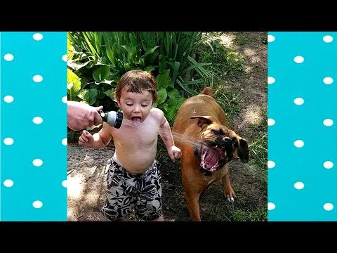 Funny Dogs and Babies Playing with Hoses||FUNNY DOGS VIDEO