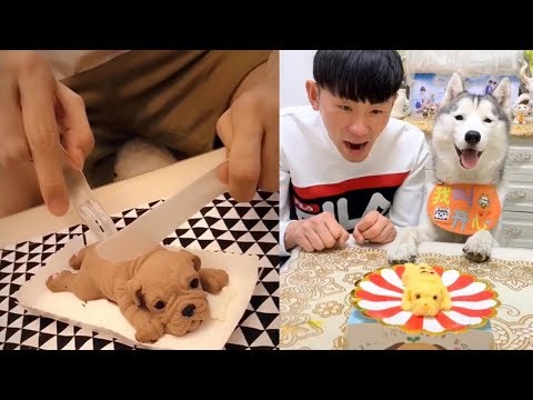 Dog Reaction to Dog Cake – Funny Dog Cake Reaction Compilation