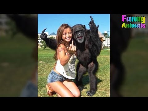 Funny Monkeys Doing Stupid Things – Funniest Animals Videos 2018