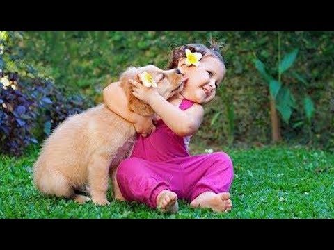 Cute Cats and Dogs 2019 ✪ Best Funny Pet Videos #10