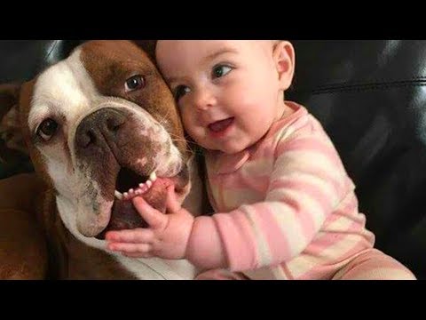 Baby 👶 and Dog 🐶 are Best Friends Funny Fails Baby Video