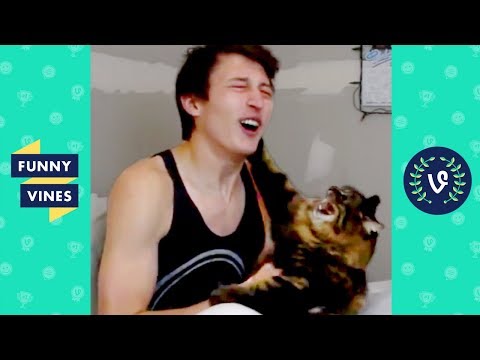 Animals Attack People Compilation – Funny Animals Videos | Funny Vine