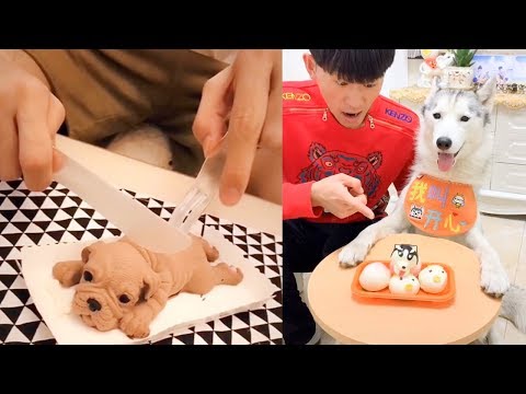 Dog Reaction to Cutting Cake – Funny Dog Cake Reaction Compilation (2019)