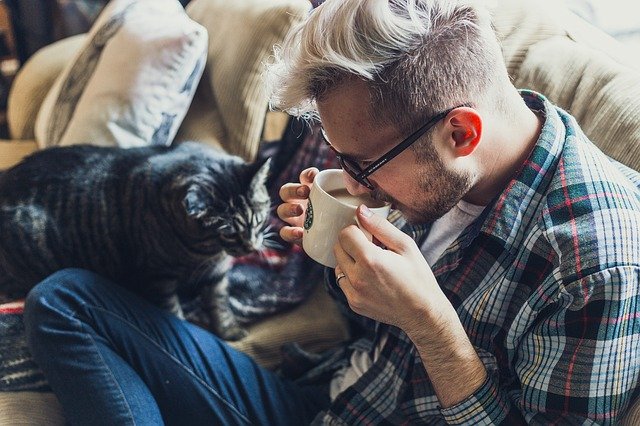 Finally A Great Article That Has The Very Best Tips About Cats