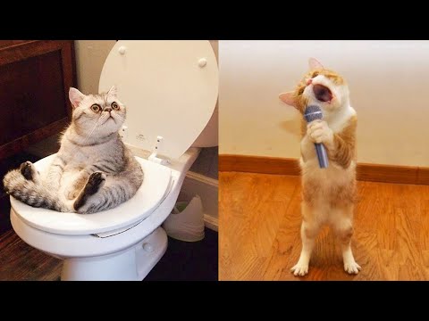 Funniest Animals – Best Of The 2021 Funny Animal Videos #28