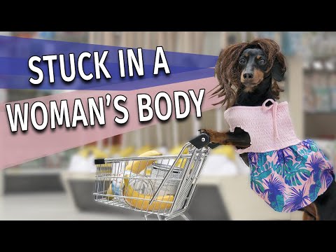 Ep 9. Crusoe Gets Stuck in Mum's Body! – Cute & Funny Dog Video