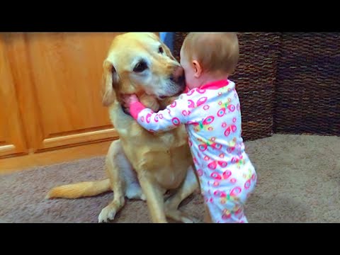 Cute Babies Playing With Dogs Compilation | Funny Baby And Pets