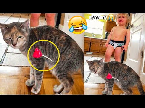 Funniest Cats And Dogs – Best Funny Animal Videos 2022 🤣