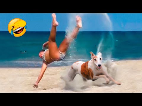 Best Funny Animal Videos 2022 😂 – Funniest Dogs And Cats Videos 😻