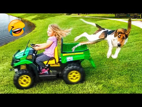 Best Funny Animal Videos 2022 🐶 – Funniest Dogs And Cats Videos 😁🤣