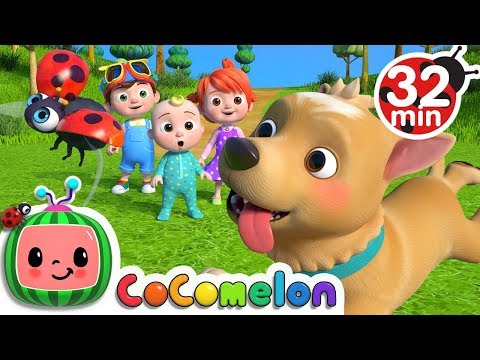 Where Has My Little Dog Gone? + More Nursery Rhymes & Kids Songs – CoComelon