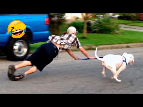 Best Funny Animal Videos 2022 😺😁 – Funniest And Cute Dogs And Cats Videos 🦆🐹