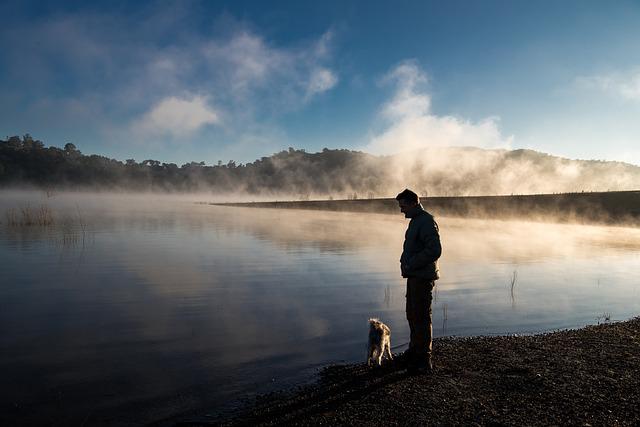 The Polite Pooch: Dog Training Ideas You Don’t Want To Miss