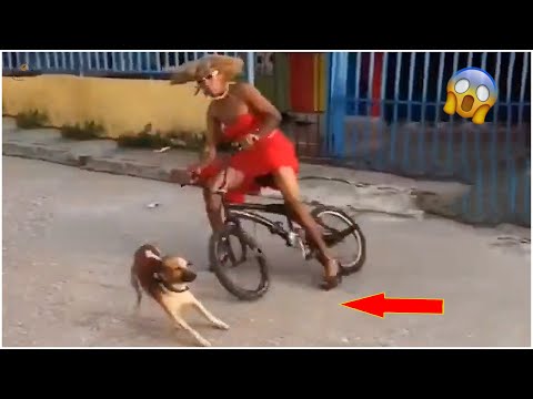 Rebellious Animals 😬😬 || Funny Dog and Cat Reaction Video #66