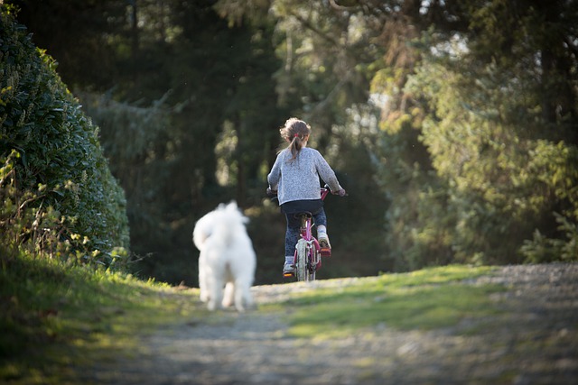 Quick Tips To Make Training Your Dog Easier On Both You And Your Furry Friend!