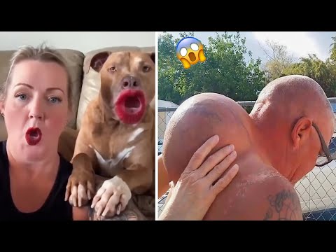 Funny Dog videos for Cats to watch 🤣 #29