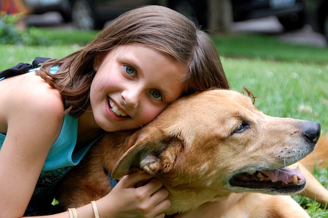 Tips For Raising A Wonderful Family Dog