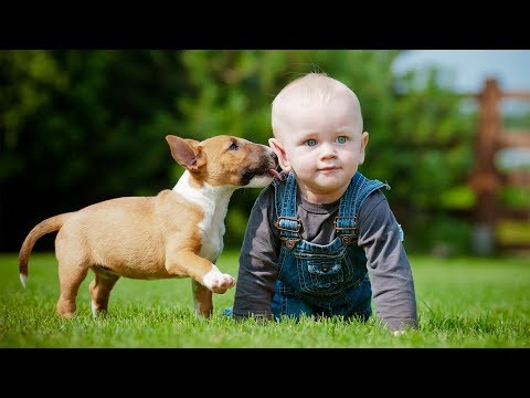 Puppies and Babies Playing Together Compilation Part 3