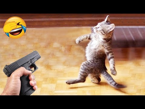 New Funny Videos 2023 😍 Cutest Cats and Dogs 🐱🐶 Part 25