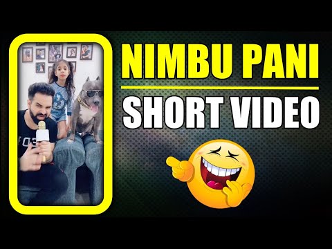 This Dog Brody is Always Funny 😆 #shorts | Harpreet SDC