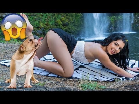 Best Funniest Dogs And Cats 🐱🐶 Funniest Animals Videos 2023 😂 #63