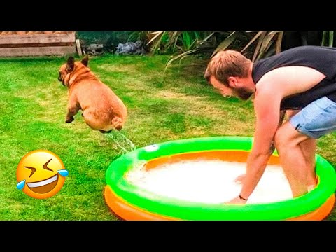 Funniest Animal Videos 2023 😅 – Best Funny Cats & Dogs Videos 🥰 #21