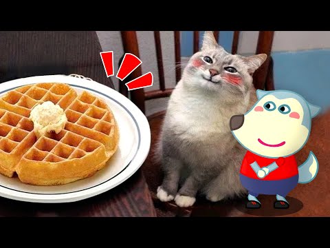 Funniest Animal Videos 2023 😁 – Best Funny Cats & Dogs Videos 🥰 Wolfoo in Real Life – Woa Doodland