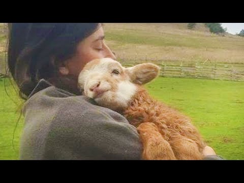 When Animals and Humans Sharing a Deep Connection – Funny Animal Videos 2023!