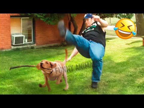 Funniest Animal Videos 2023 😅 – Best Funny Cats & Dogs Videos 😇 #22