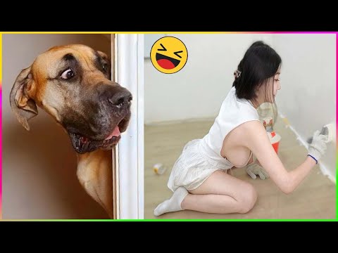 Funny Dog And Cat 😍🐶😻 Funniest Animals #231