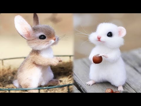 Cute baby animals Videos Compilation cute moment of the animals #10 Cutest Animals 2023