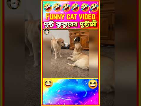 🤣দুষ্ট কুকুরের এর দুষ্টমী🤣| Funny dog videos Bangla | Funny Animals | Funny Dog